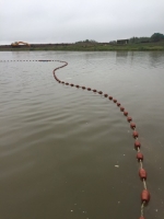 Fish removal in drought conditions