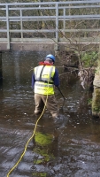 Electro Fishing Survey - click to enlarge Electro Fishing Survey