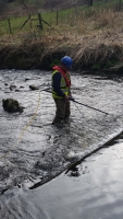 Electro Fishing Survey - click to enlarge Electro Fishing Survey