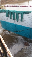 Fish Removal at Marsh Lock, Runcorn