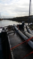 Fish Removal at Marsh Lock, Runcorn