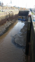 Fish Removal at Marsh Lock, Runcorn