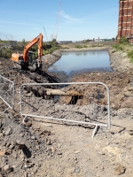 Fish Removal - <p>Total lake drain down to allow for construction</p>