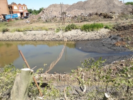 Fish Removal - <p>Total lake drain down to allow for construction</p>