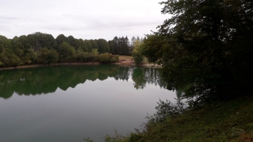 Fishery Maintenance - Carp Fishery in France