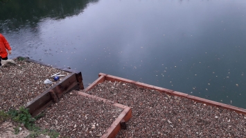 Fishery Maintenance - Carp Fishery in France
