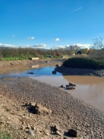 Lake Drain Down & Removal of Carp From the Lake