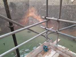 Fish Rescue, Relocation and De-Silting for Repairs