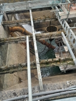 Fish Rescue, Relocation and De-Silting for Repairs