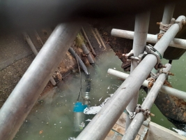 Fish Rescue, Relocation and De-Silting for Repairs