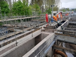 Fish Rescue, Relocation and De-Silting for Repairs