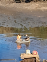 Fish Removal and Drain Down at Heaton Park - <p>Recent fish removal and drain down at Heaton Park, Manchester March 2025</p>
