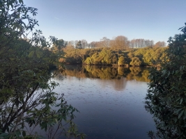 Fish Removal and Drain Down at Heaton Park - <p>Recent fish removal and drain down at Heaton Park, Manchester March 2025</p>