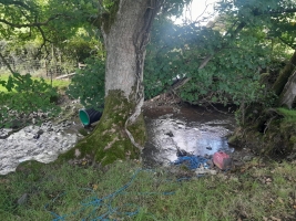 Fish Rescue & Relocation for Powys County Council - <p>Fish rescue and relocation in September 2025 for Powys County Council due to river works</p>