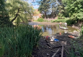 Fish Removal & Relocation Due to Low Oxygen Levels - <p>Fish removal and relocation due to low oxygen levels and low water.</p>