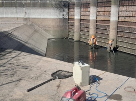Fish Removal & Relocation, Fiddlers Ferry - <p>Fish removal and relocation at&nbsp;Fiddlers Ferry power station due to demolition works</p>