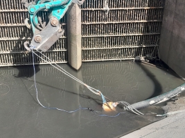 Fish Removal & Relocation, Fiddlers Ferry - <p>Fish removal and relocation at Fiddlers Ferry power station due to demolition works</p>